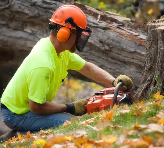 tree services Great Neck Gardens